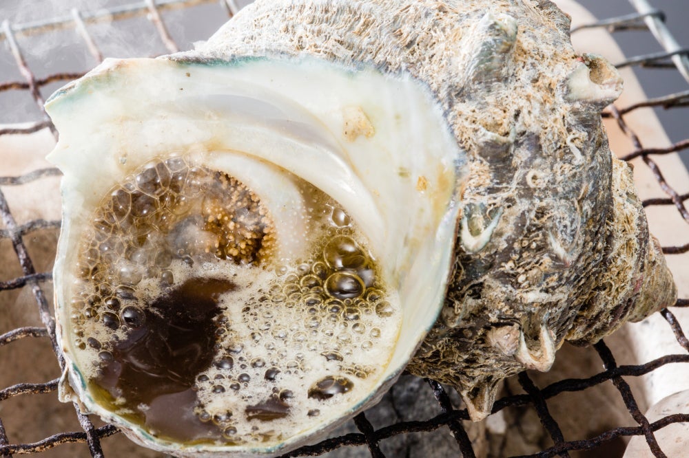 【佐賀・神埼・目達原・中原・鳥栖発】 アルコールを含む飲み放題付き！夏のシーフードカーニバルと夏井ケ浜・宮地嶽神社風鈴まつり　日帰り2