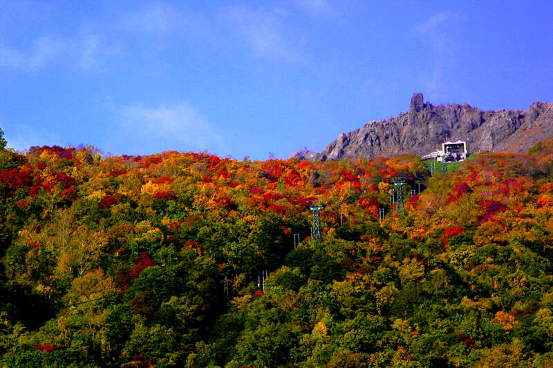 【宮崎空港発】 食も湯も味わい尽くす　ロマンチック道南感謝祭３日間1