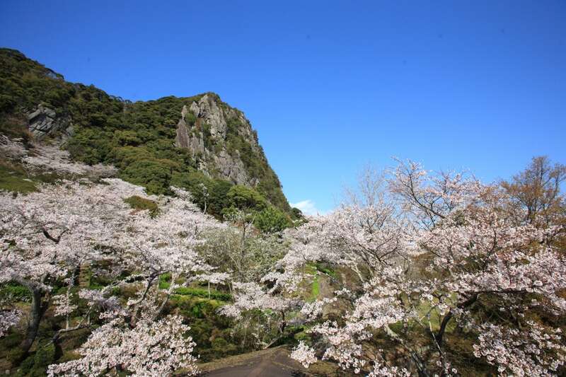 【直方・小竹・新飯塚・飯塚発】 全32ヵ所発着！！あなたの街から鹿島・肥前浜宿酒蔵まつりと25,000坪の桜の楽園御船山　日帰り2
