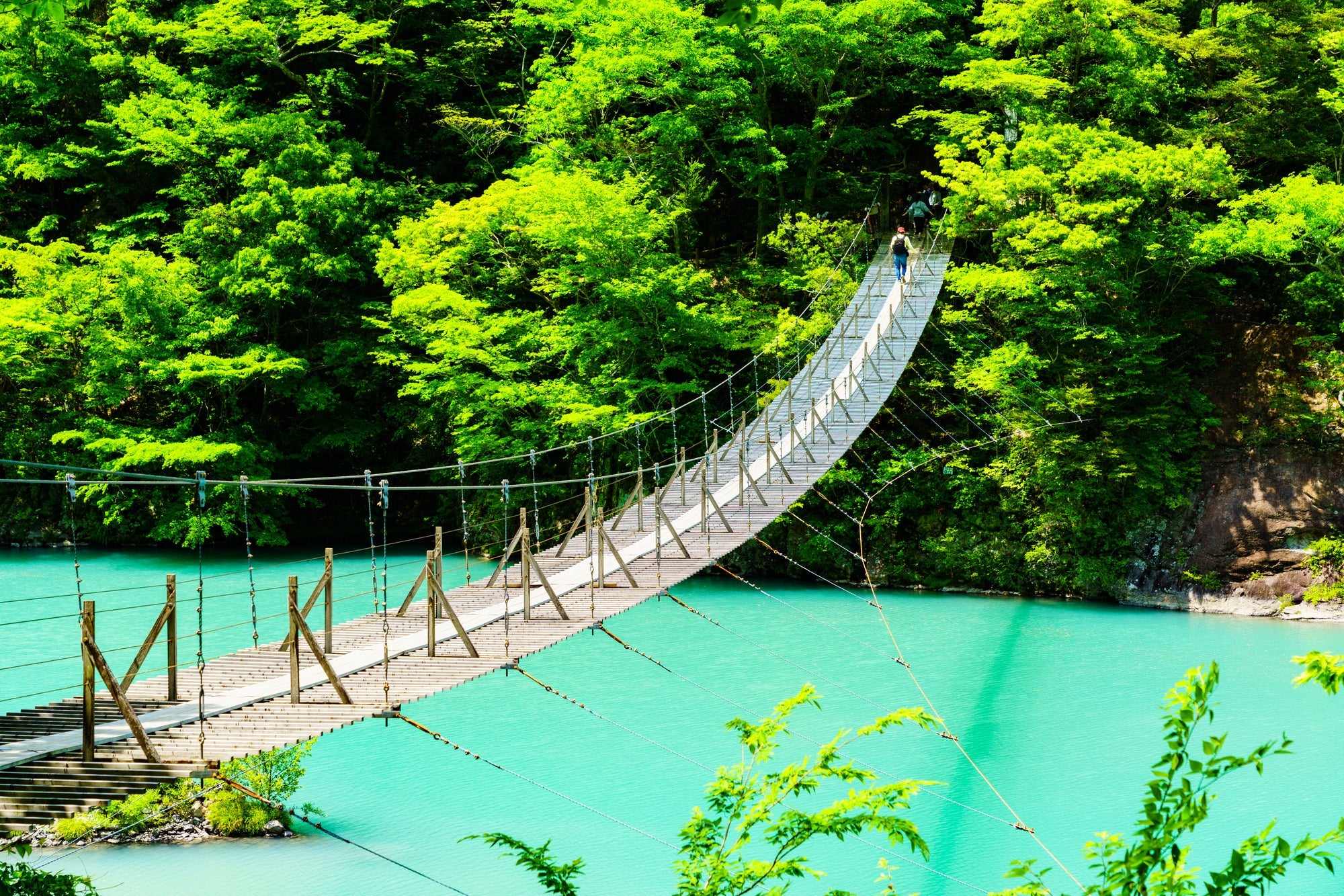 ＜ハイク初級＞『個人では行きにくい秘境・寸又峡と長島ダム　日帰り』【静岡集合】1
