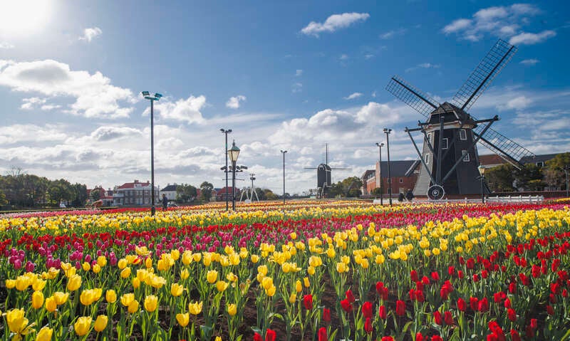 【羽田空港発】 日本一のイルミネーション！憧れの異世界「ハウステンボス」と楽しさいっぱいの春旅九州　3日間2