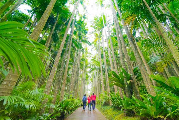 【富山空港発】 ３泊ともにリゾートホテルに宿泊！とっておきの夏　沖縄本島４日間2