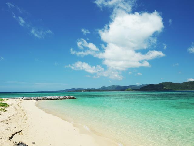 ■2日目　石垣港⇔小浜島往復乗船券付　組合せ自由自在の人気ツアー！石垣島・竹富島・西表島ホテルチョイスプラン3泊4日3