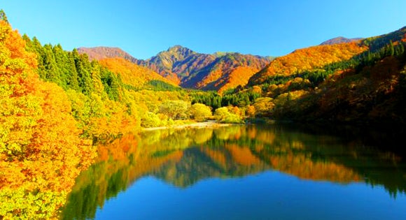 ＜新宿発・西船橋発＞ 秘境！奥只見湖遊覧船 と 絶景ダムウォーク　そして、紅葉の清津峡＆大源太湖　名湯・越後湯沢温泉でイクラにステーキ食べ放題　２日間3