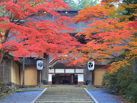 中部発 世界遺産 高野山 奥の院・壇上伽藍の2大聖地めぐり＜JAMJAM TOUR＞3