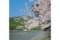 【豊田発】＊日帰り昼食付＊『嵯峨野トロッコ列車と京の世界遺産＆春の嵐山』3