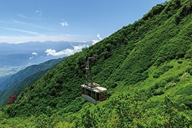 龍野・花田・三木　発
№2851 山野草の宿 二人静と天空のお花畑「千畳敷カール」1