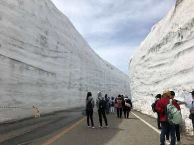 【松山駅～川之江駅発】 立山黒部アルペンルート「雪の大谷ウォーク」と黒部峡谷トロッコ列車３日間
