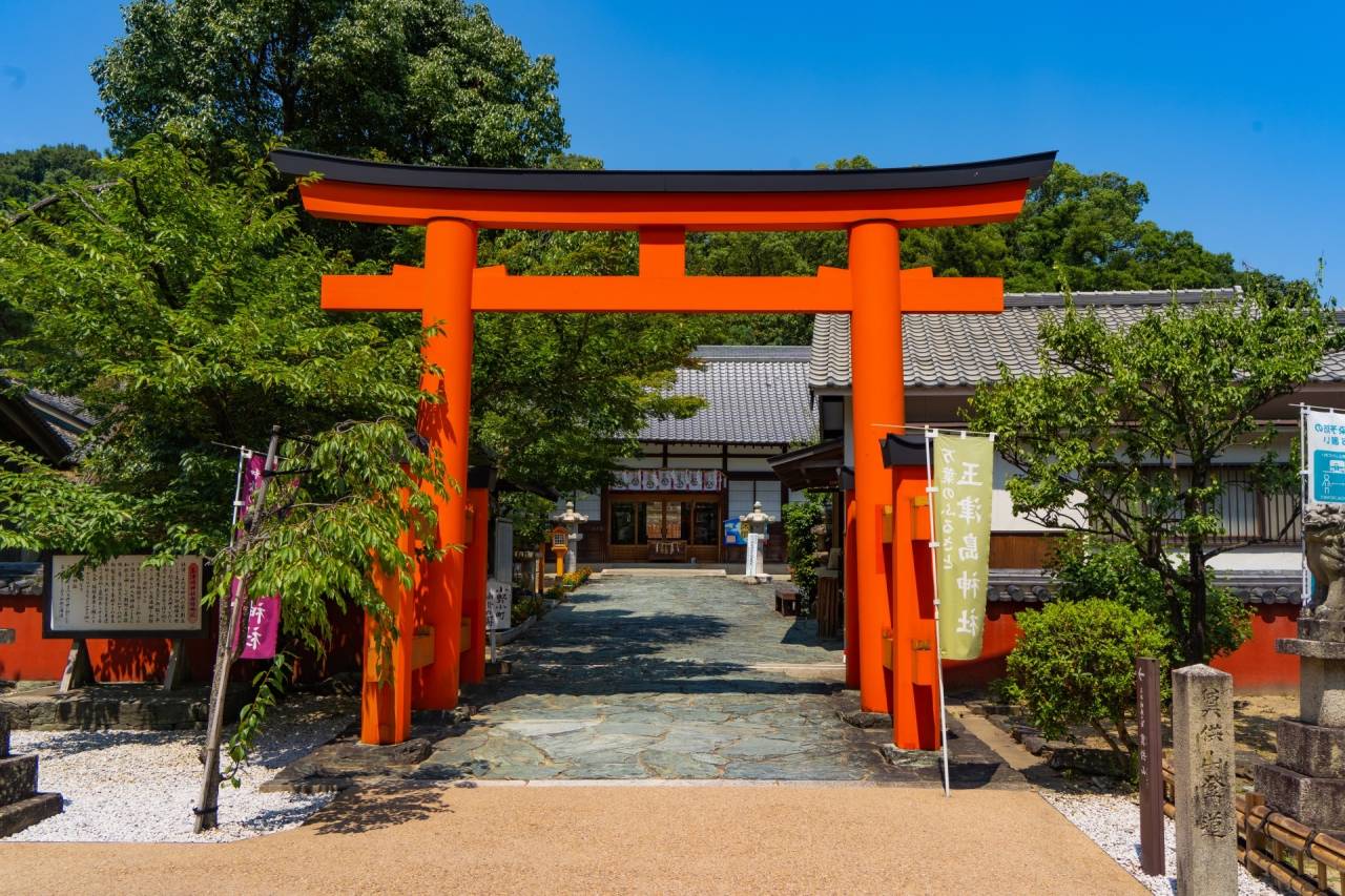 わかやま旬の味覚てんこ盛り！大漁まつり！！【大和八木・橿原神宮・五位堂発】1