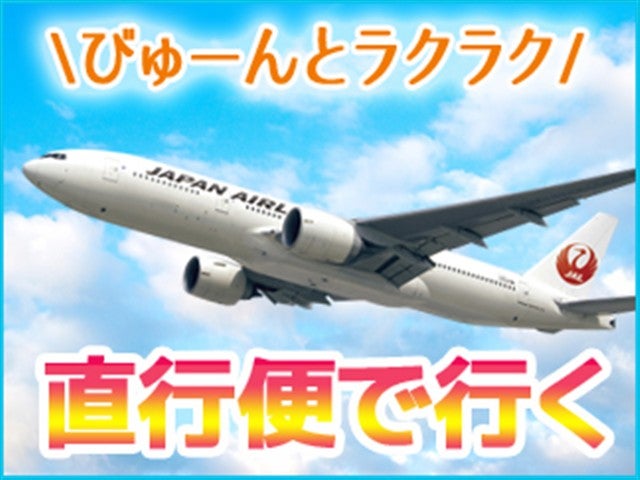 【滞在中レンタカー付】　直行便で行く！　個性にあふれる八重山諸島！組合せ自由自在の人気ツアー！　ホテルチョイス　レンタカープラン　2泊3日2