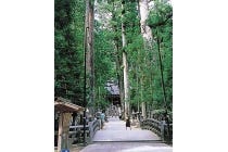 1名参加OK!【名古屋駅発】*1泊4食付*紀伊山地世界遺産めぐり『高野山と龍神温泉』