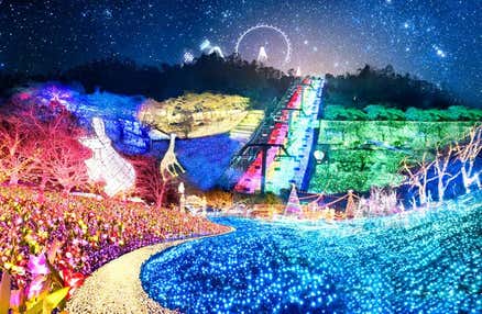 【早割30】[新宿発]黄金色に輝く『ダイヤモンド富士』＆さがみ湖『イルミリオン』鑑賞！人気の桔梗信玄餅詰め放題体験、チーズフォンデュ等ランチバイキングの昼食付きの日帰りバスツアー！