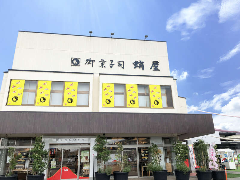 【茨城県内発】 とちぎハウス栽培高級シャインマスカット狩りと あんこバーで有名！人気のアオヤカンパーニュスペシャルランチ3