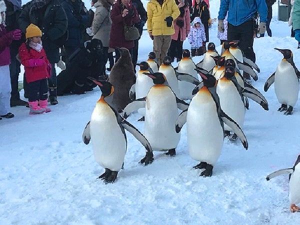 さっぽろ雪まつり＆網走流氷巡り　2泊3日2