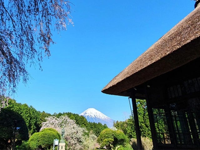 ■【静岡】春空に心躍る♪天空の大パノラマ『十国峠』＆海鮮浜焼き食べ放題＆静寂と彩りが調和する庭園『秩父宮公園』散策！3