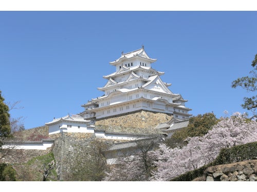 【名古屋発】日帰りで行く！桜の世界遺産 姫路城2