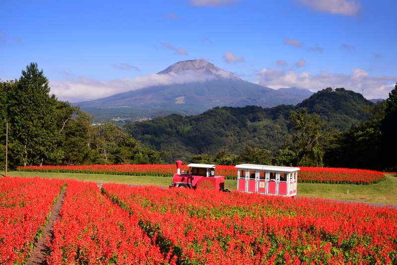 【兵庫エリア発】 名旅館にゆったり滞在17時間！三朝温泉『依山楼 岩崎』と秋彩の大山・足立美術館２日間3