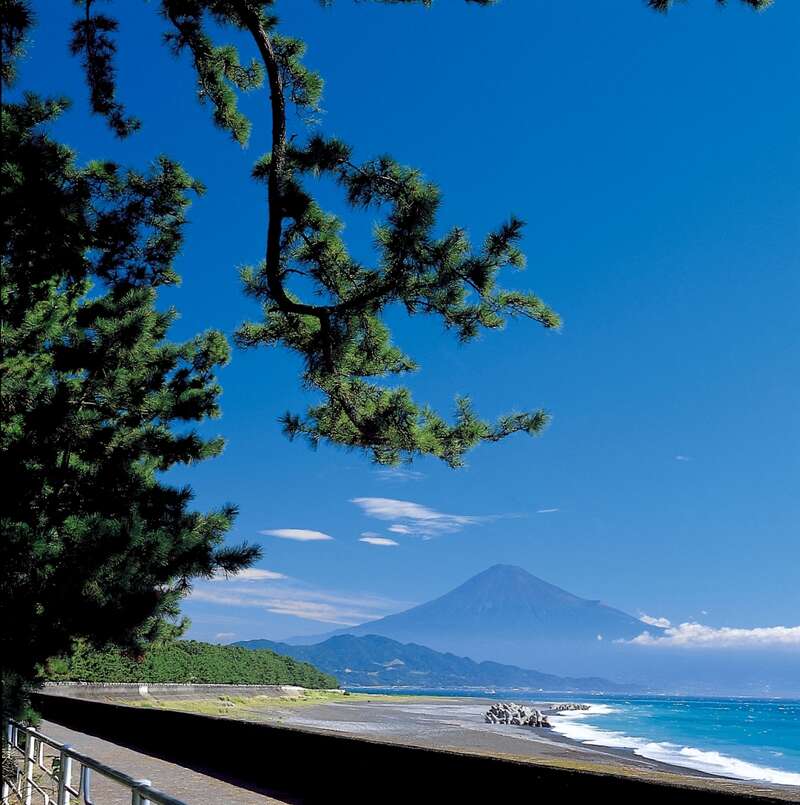 【京都エリア発】 大井川鐵道ＳＬ列車と富士山眺望ミニクルーズ・世界遺産三保の松原２日間3