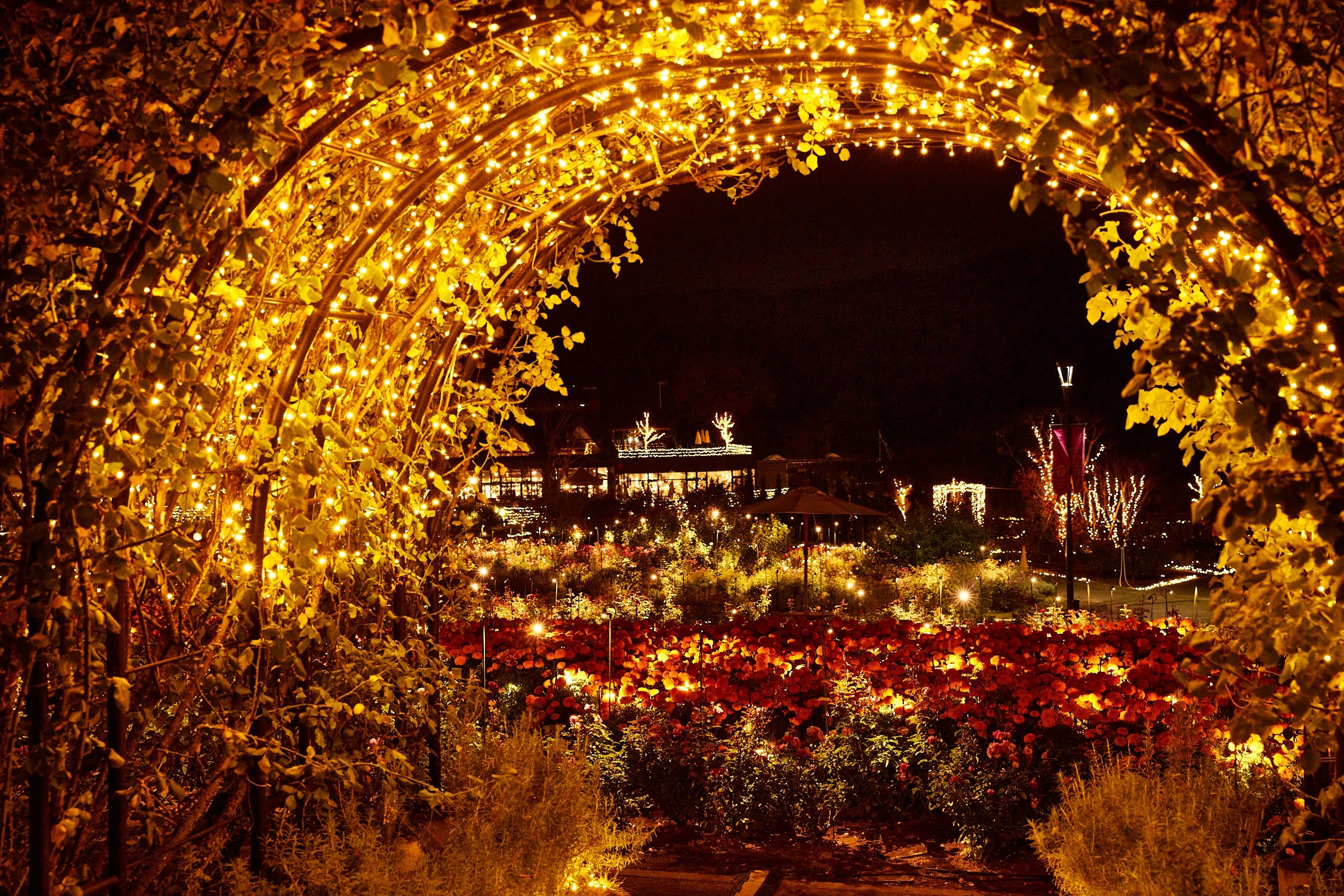 【京成船橋発】花と光のファンタジー★いばらきフラワーパークでイルミネーションと人気スポットでお買物＜コースNo.25-1129-A＞（京成トラベル）1