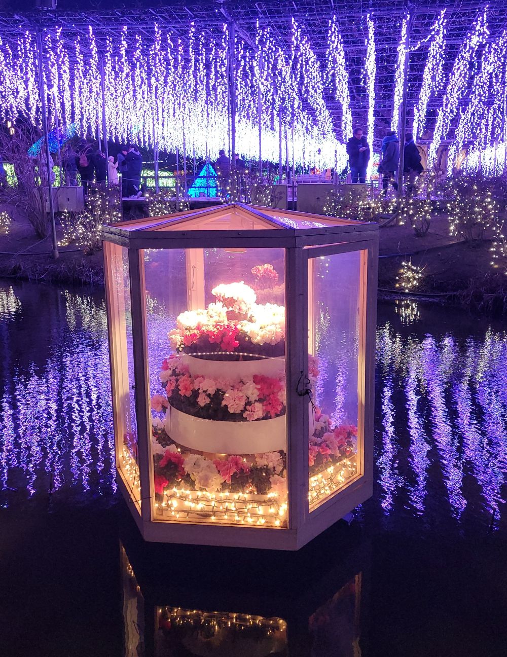 パワースポット巡り☆煌びやかなイルミ☆
              出流原弁天池湧水・あしかがフラワーパークイルミネーションツアー2