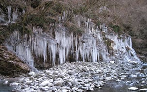 三十槌の氷柱と宝登山蝋梅（ろうばい）観賞冷えた体は深さ1,000mから湧き出す温泉でぽかぽか！2
