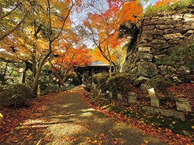 八幡山と近江八幡まちあるき1