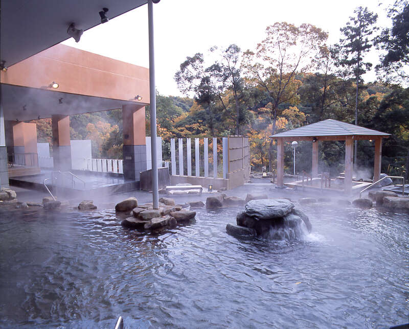 【東京駅・品川駅・新横浜駅発】 富士山眺望と焼津にぎり寿司食べ放題！ ～秘境・大井川鐵道鉄橋大パノラマと日本平夢テラス・三保の松原～2日間2