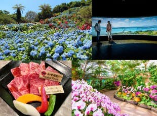 【5月・6月限定/彩発見対象外プラン】沖縄ブランド牛「もとぶ牛」焼肉ランチ付き!30万輪の「よへなあじさい園」&2000株の蘭「熱帯ドリームセンター」&古宇利島の絶景「古宇利オーシャンタワー」~本島北部花めぐり観光バスツアー~