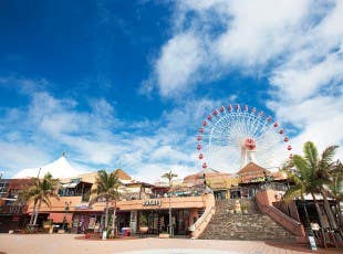 【那覇・北谷発/北部観光】美ら島終日観光バスツアー(Cコース)★「美ら海水族館」→「古宇利島」→「御菓子御殿」→「万座毛」→映画のオープンセットのようなリトルアメリカ「北谷アメリカンビレッジ」★¥5100!