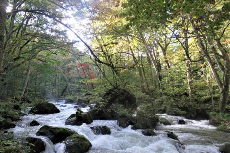 【福岡空港発】 秋風薫る初秋の北東北へ～中尊寺・八幡平・八甲田・十和田・奥入瀬・角館～3