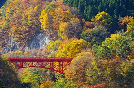 秋色に染まる奥信州絶景ハイライト 北向観音64年ぶりの前立本尊御開帳と別所温泉食べ歩き 2日間