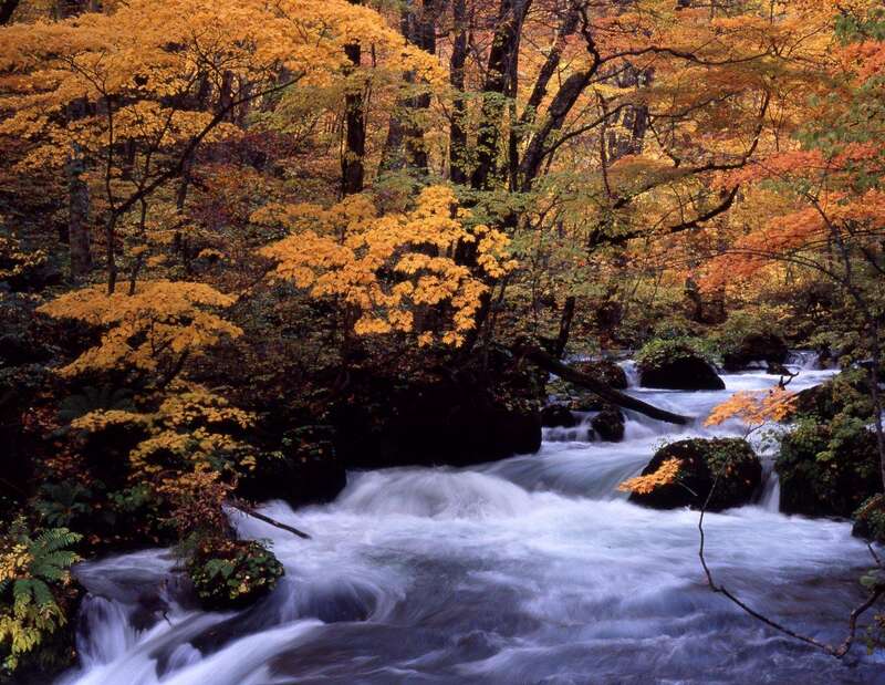 【山形県内発】 十和田湖・奥入瀬渓流・八幡平アスピーテライン・ 角館武家屋敷と 十和田湖温泉郷（2日間）2