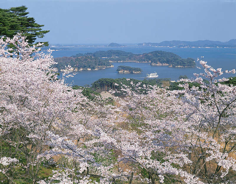 【大分空港発】 《神社仏閣》桜舞う！  みちのく古寺巡礼 四寺廻廊  ～世界遺産 中尊寺・毛越寺・瑞巌寺・立石寺～（３日間）1