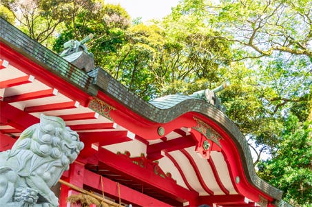 【新春特別企画!/新宿発】パワースポット来宮神社と三嶋大社のW参拝 B級グルメの三島コロッケ食べ歩き&初物いちごのおやつ付☆ 静岡満喫日帰りバスツアー