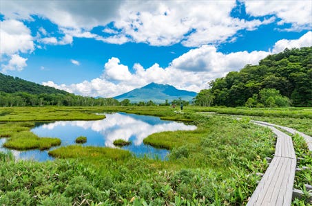 【ハイキング初級/新宿発】山吹色に輝く尾瀬へ 乗り換えなしで楽々ハイキング!鳩待峠たっぷり4時間&老神温泉・湯元華亭での入浴付 日帰りハイキングコース