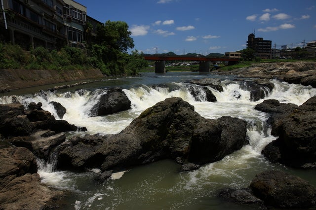 【鳥取駅南口発】 名勝！兵庫百景「闘竜灘」＆料理旅館「滝寺荘」でご昼食と夏の風物詩・南光ひまわり畑　日帰り1