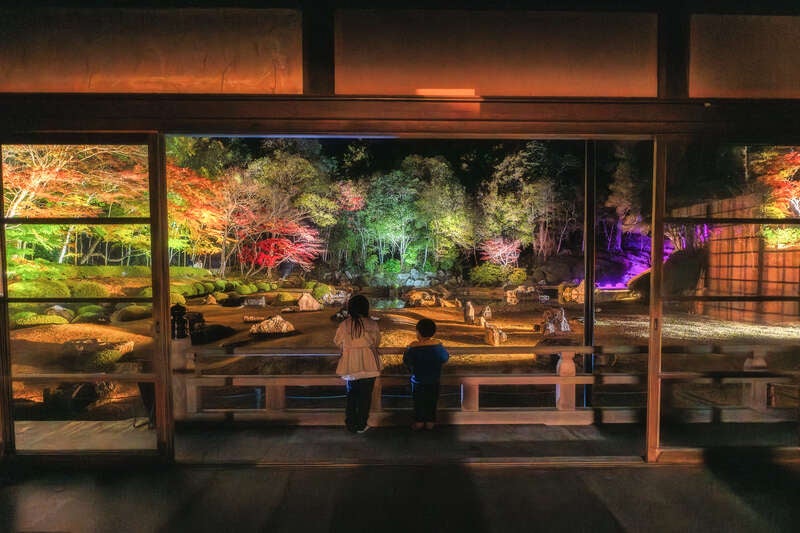 【愛媛県内発】 秋色染まる！岩国・錦帯橋と安芸・宮島、常栄寺雪舟庭秋のライトアップ ２日間1