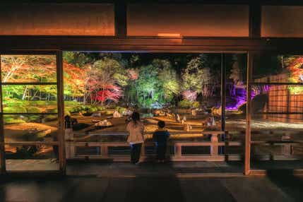 【愛媛県内発】 秋色染まる!岩国・錦帯橋と安芸・宮島、常栄寺雪舟庭秋のライトアップ 2日間