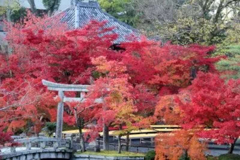 【富山駅・新高岡駅・金沢駅発】  紅葉の南禅寺と永観堂　日帰り2