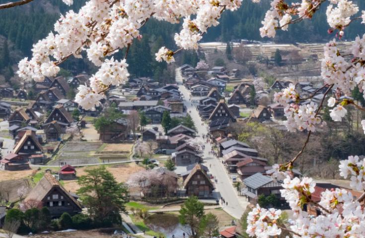 [名古屋発]日本の古い町並みがの多く残る高山とユネスコ世界遺産登録の白川郷へお立ち寄り 歴史的文化探訪の日帰りツアー(英語ガイド付)2