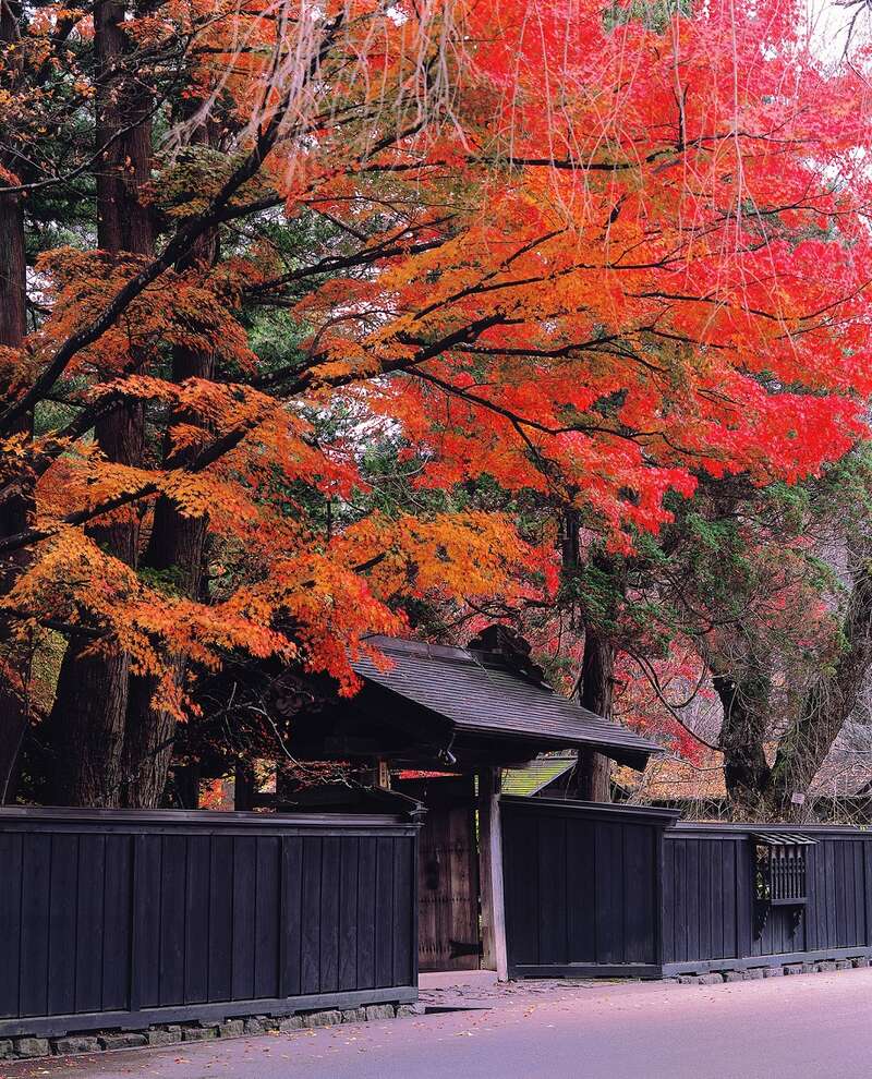 【東京駅・上野駅・大宮駅発】 紅葉の「十和田湖・奥入瀬渓流」と世界遺産登録15周年の「中尊寺」・みちのくの小京都「角館」２日間3