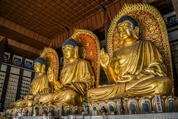 「秋の但馬大仏」世界最大級の木造大仏とカニ会席御膳2