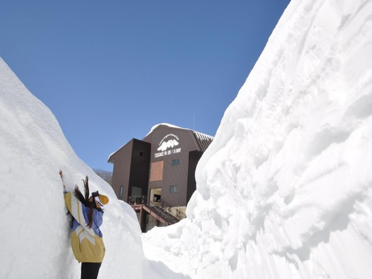 【長野駅】朝出発 バスで行く つがいけマウンテンリゾートリフト券付日帰りパック2