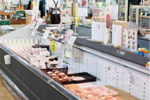 【上三川・宇都宮発着】土浦魚市場でマグロ食べ放題！つくば陣屋と道の駅常総よくばり満喫ツアー【昼食付】2