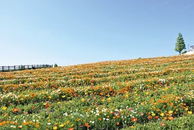 福崎　加西　社発
№1842 海を見下ろす崖の上に佇む一軒家レストラン　トラットリアアマランチャ2