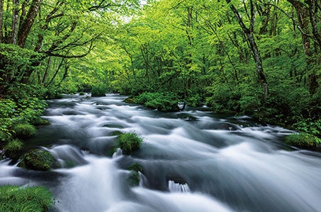 【長野県内発着/ランクアッププラン】東北5県の名所・絶景を巡る　はじめての東北4日間　東北大人気コース！1