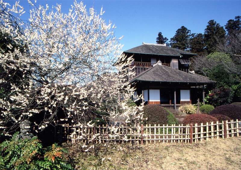 【群馬県内発】 早春の風物詩！水戸偕楽園梅まつりと那珂湊おさかな市場～薫風「梅み月」にてつくば鶏の二色重会席のご昼食～2