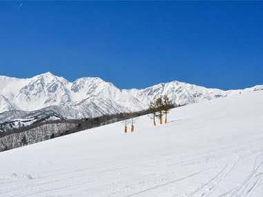 ■●夜発バス　白馬岩岳スノーフィールド　日帰りプラン　リフト券＆レンタル付