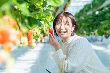 【大阪・阪神エリア発】 春うらら　伊勢神宮・内宮といちご狩り食べ放題・特選牛すき焼きランチ　日帰り