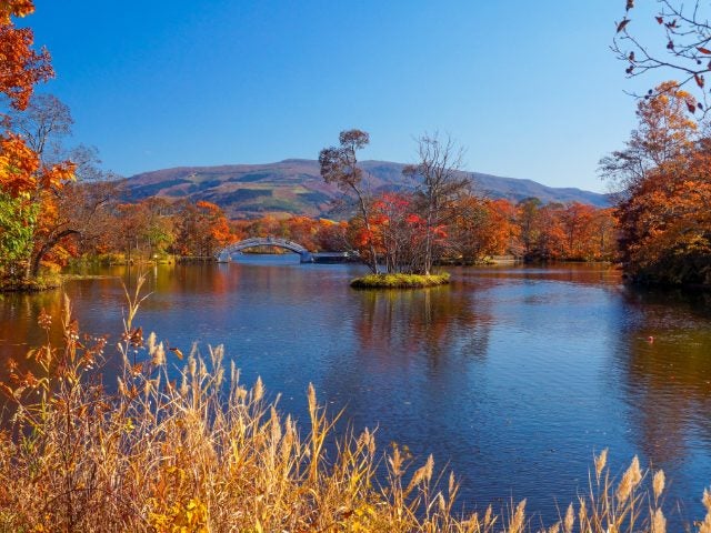 【早90】◆中部国際空港発着！◆【ジャンボマーチ・添乗員同行】湯の川温泉 HAKODATE海峡の風に連泊！秋のみなみ北海道「函館・松前・江差」歴史街道と道南うまいもんめぐり3日間＜ホテルランクアッププラン＞【こだわりの食】【四季の風景】2